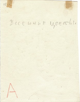 Митрохин Дмитрий Исидорович. Весенние цветы